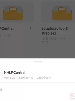 NHLPCentral厂商  丝袜 熟女 自慰 自摸 高清视频全系列合集